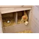 "Emma chicken coop for 2 to 3 hens"