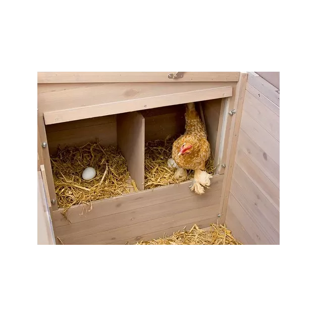 poulailler Emma 2 à 3 poules poulailler Emma 2 à 3 poules