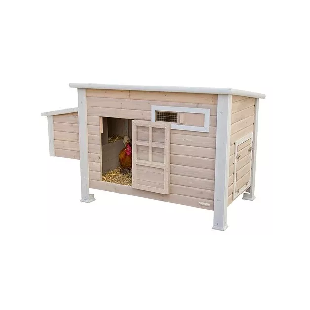 "Emma chicken coop for 2 to 3 hens"