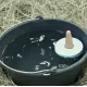 Bottle nipples, bucket, and floating nipples