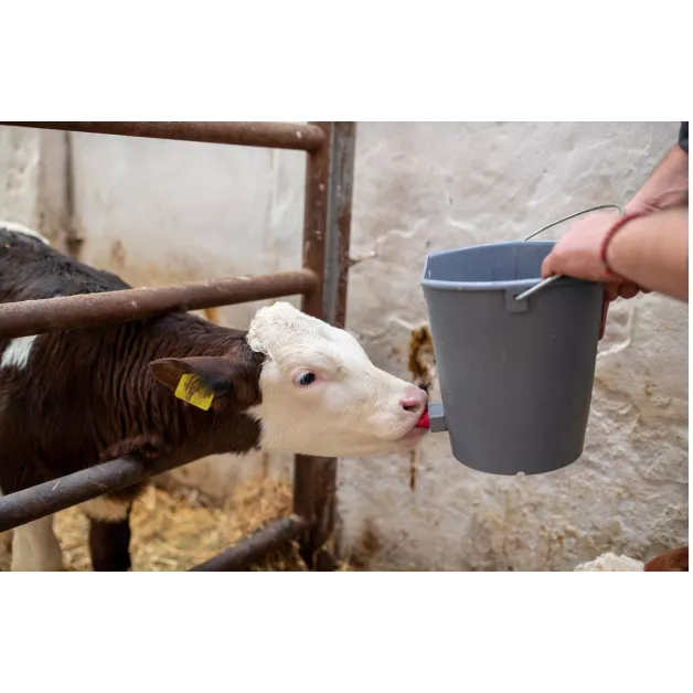 Seau en plastique gris biberon veau 8 litres et ses accessoires Seau en plastique gris biberon veau 8 litres et ses accessoires