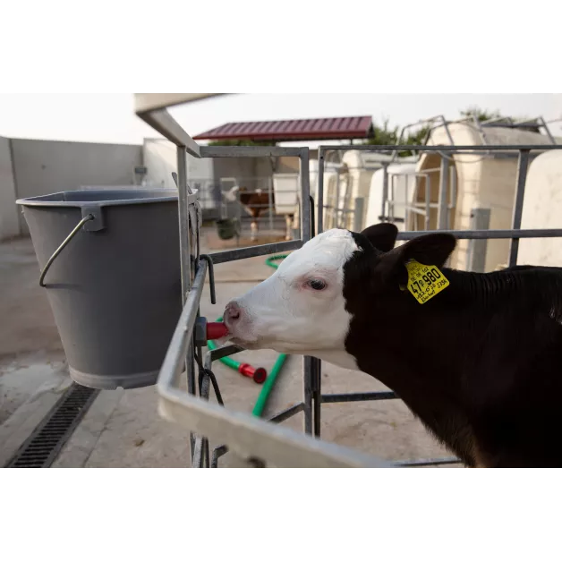 Seau en plastique gris biberon veau 8 litres et ses accessoires Seau en plastique gris biberon veau 8 litres et ses accessoires