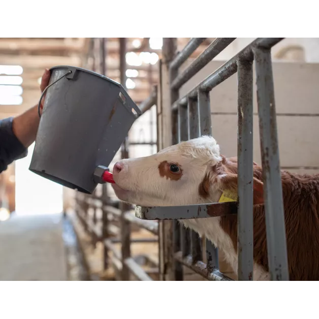 Seau en plastique gris biberon veau 8 litres et ses accessoires Seau en plastique gris biberon veau 8 litres et ses accessoires