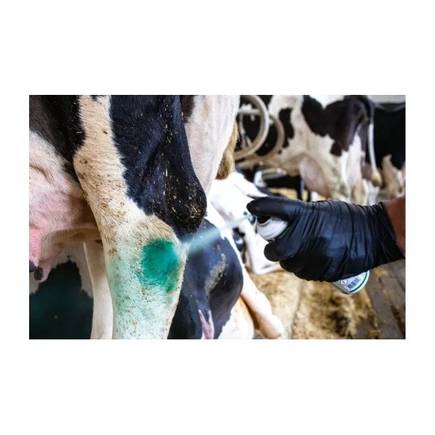 Desinfecterende en helende aluminium spray 200ml en Repiderma 250ml Desinfecterende en helende aluminium spray 200ml en Repiderma 250ml