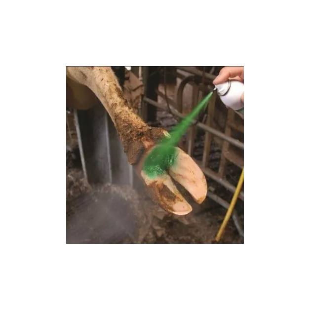 Desinfecterende en helende aluminium spray 200ml en Repiderma 250ml Desinfecterende en helende aluminium spray 200ml en Repiderma 250ml