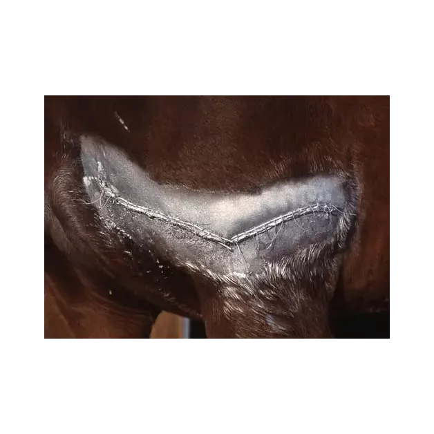 Desinfecterende en helende aluminium spray 200ml en Repiderma 250ml Desinfecterende en helende aluminium spray 200ml en Repiderma 250ml