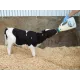 Calf Drencher, feeding tube