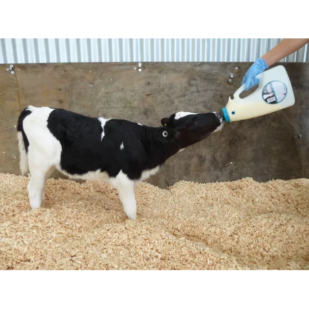 Calf Drencher, voersonde Calf Drencher, voersonde