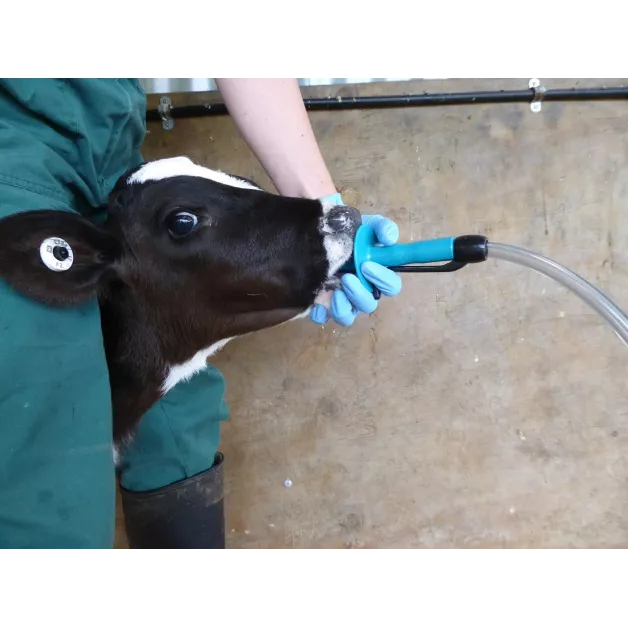 Calf Drencher, voersonde Calf Drencher, voersonde