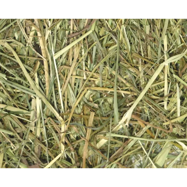 Versele-Laga hooi 2,5 kg