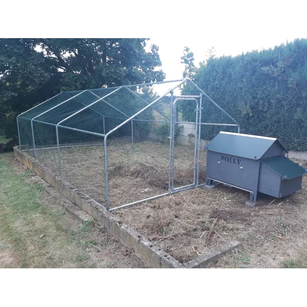 Large enclosure for chickens and other poultry of 12 m²
