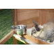 Rodent feeding dish