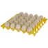 Plastic egg tray
