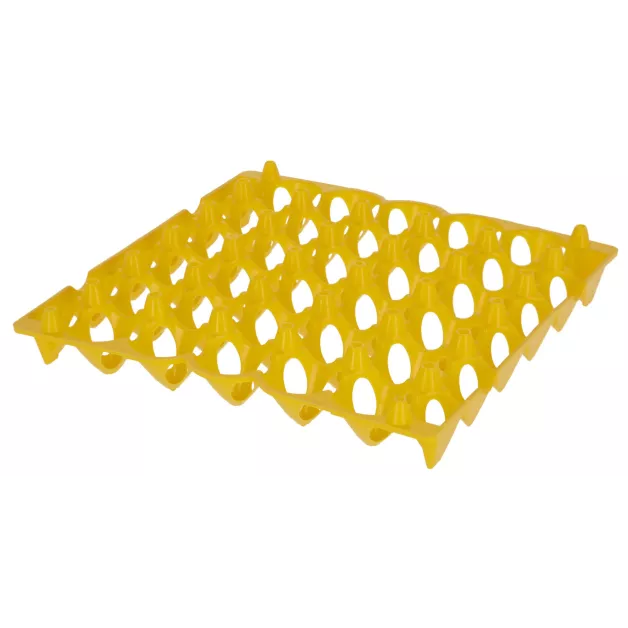 Plateau porte oeufs en plastique Plateau porte oeufs en plastique