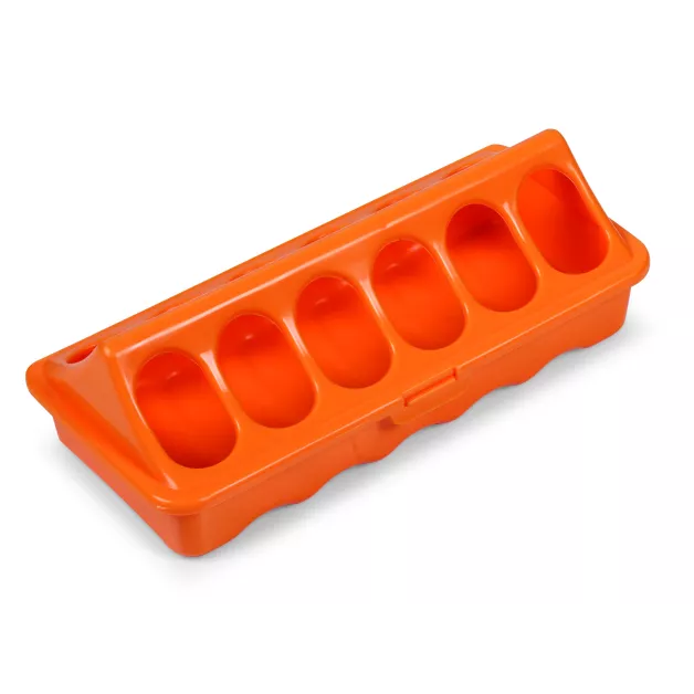 Linear feeder for chicks