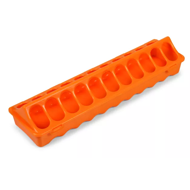 Linear feeder for chicks