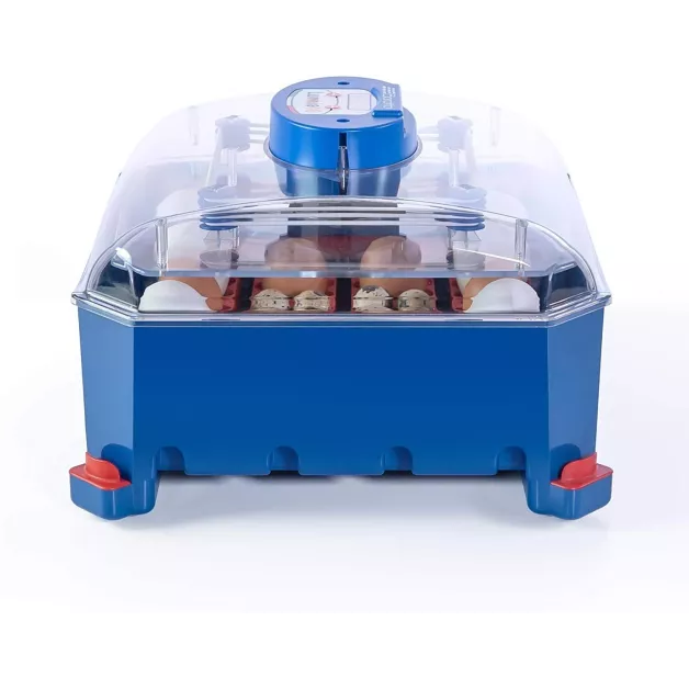 Automatic digital incubator with a maximum capacity of 12 eggs of different sizes. Automatic digital incubator with a maximum capacity of 12 eggs of different sizes.