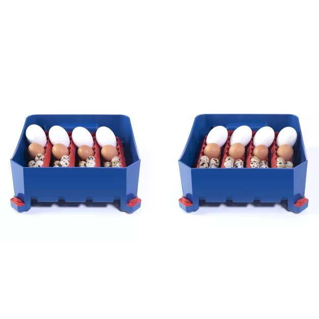 Automatic digital incubator with a maximum capacity of 12 eggs of different sizes. Automatic digital incubator with a maximum capacity of 12 eggs of different sizes.