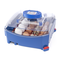 Couveuse digitale automatique d’une capacité maximale de 12 oeufs de différentes tailles Couveuse digitale automatique d’une capacité maximale de 12 oeufs de différentes tailles