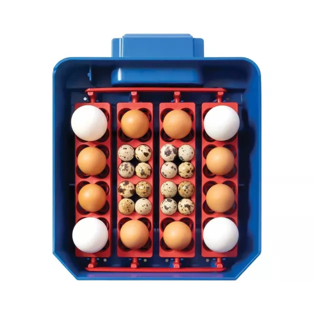 Automatic digital incubator with a maximum capacity of 12 eggs of different sizes. Automatic digital incubator with a maximum capacity of 12 eggs of different sizes.