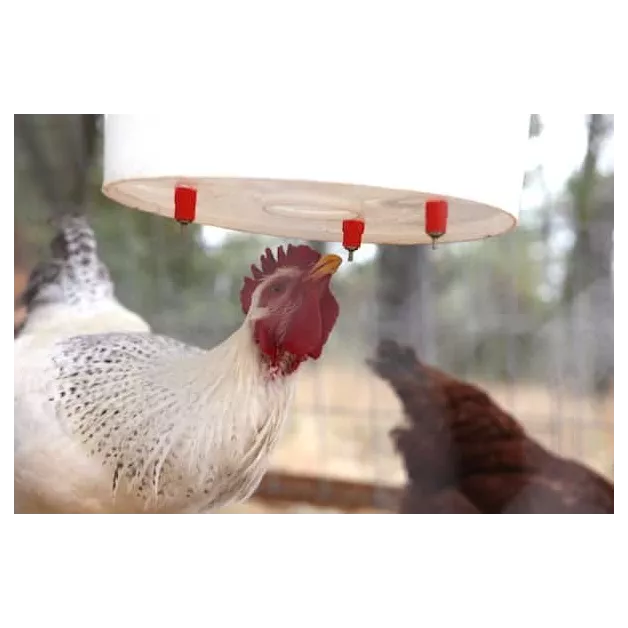 Nippeldrinker voor pluimvee (4 stuks)