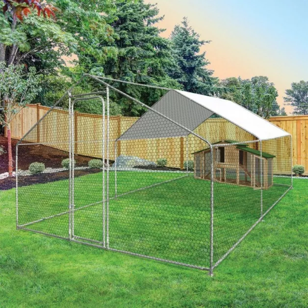 Large enclosure for chickens and other poultry of 12 m²