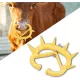 Anti-suckling devices for cattle