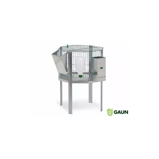 Rabbit farming cages