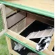 Shelter for rabbits and rodents