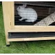 Shelter for rabbits and rodents