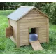Norway hutch pack shelter and enclosure for rabbits