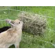 Metalen rek voor konijn en hamster.