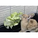 Metalen rek voor konijn en hamster.