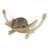 Toys in Dried Grass : Model:Hammock