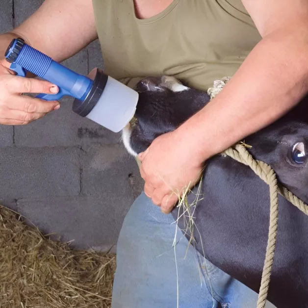 Verdovingspistolen Verdovingspistolen