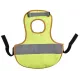Chicken vest and harness