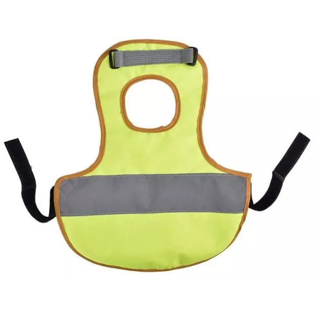 Chicken vest and harness