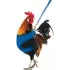 Vest and harness for chickens : Model:Harnais