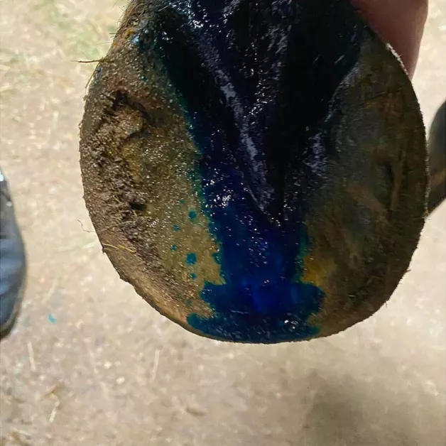 Desinfecterende en helende aluminium spray 200ml en Repiderma 250ml Desinfecterende en helende aluminium spray 200ml en Repiderma 250ml