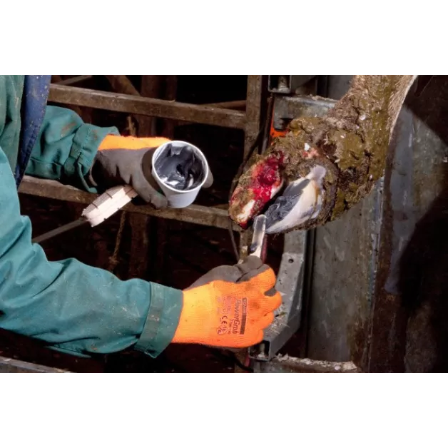 Technovit verzorgingsset - 12 behandelingen met versneller + houten zolen Technovit verzorgingsset - 12 behandelingen met versneller + houten zolen