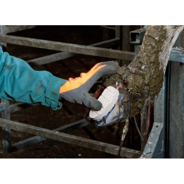 Technovit verzorgingsset - 12 behandelingen met versneller + houten zolen Technovit verzorgingsset - 12 behandelingen met versneller + houten zolen