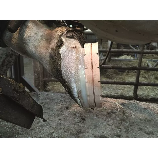 Technovit verzorgingsset - 12 behandelingen met versneller + houten zolen Technovit verzorgingsset - 12 behandelingen met versneller + houten zolen