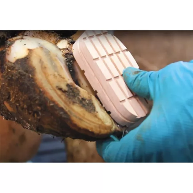 Kit de soins Technovit - 12 traitements avec accélérateur + semelles bois