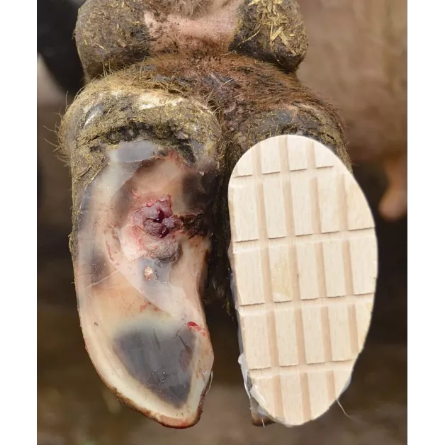 Technovit verzorgingsset - 12 behandelingen met versneller + houten zolen Technovit verzorgingsset - 12 behandelingen met versneller + houten zolen