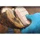 Technovit care kit - 12 treatments with accelerator + wooden insoles