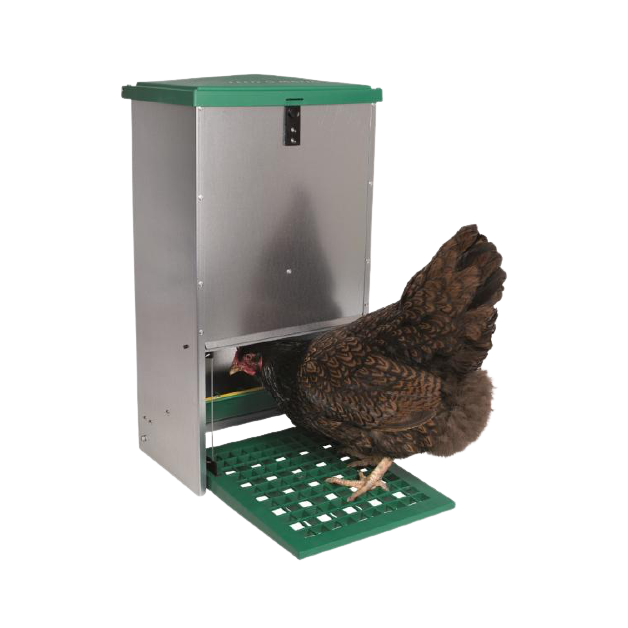 Pack Luxe du Roi trémie anti-nuisibles + abreuvoir inox pour poules