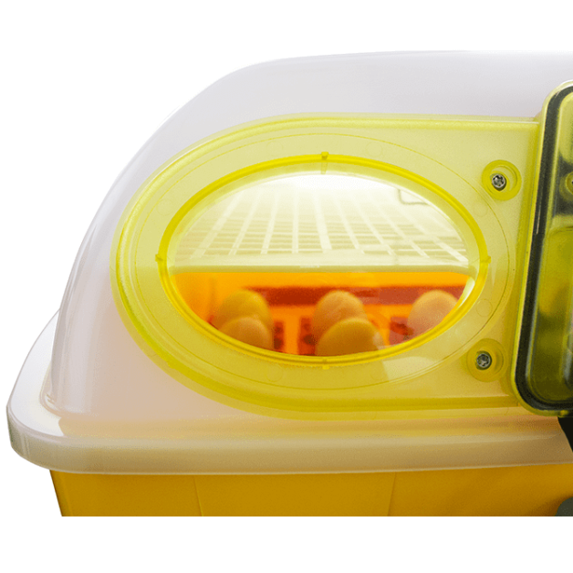 Broedmachines voor 12, 24 en 49 eieren automatisch River