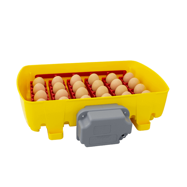 Broedmachines voor 12, 24 en 49 eieren automatisch River