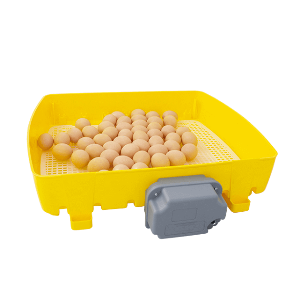 Broedmachines voor 12, 24 en 49 eieren automatisch River