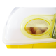 Incubators 12, 24 and 49 automatic egg River